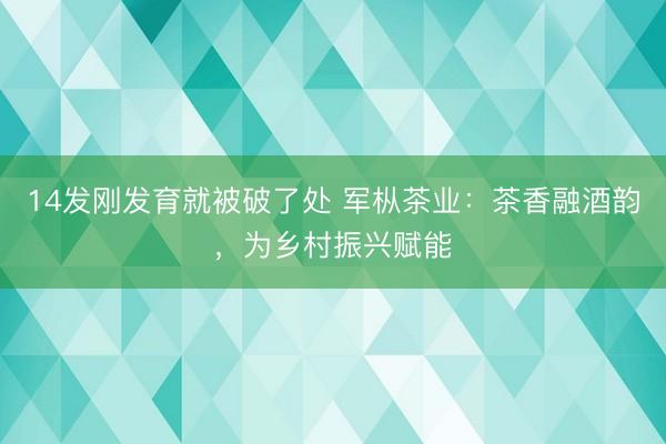 14发刚发育就被破了处 军枞茶业：茶香融酒韵，为乡村振兴赋能