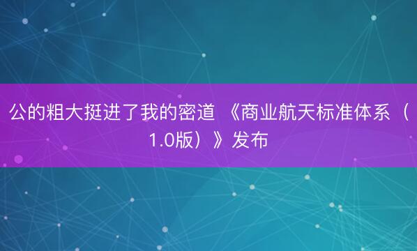 公的粗大挺进了我的密道 《商业航天标准体系（1.0版）》发布