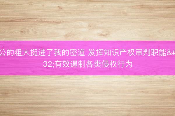 公的粗大挺进了我的密道 发挥知识产权审判职能 有效遏制各类侵权行为