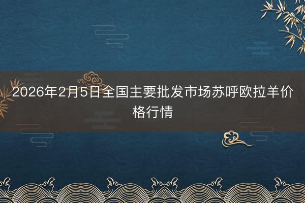 2026年2月5日全国主要批发市场苏呼欧拉羊价格行情