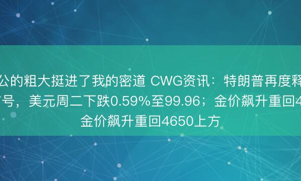 公的粗大挺进了我的密道 CWG资讯：特朗普再度释放停战信号，美元周二下跌0.59%至99.96；金价飙升重回4650上方