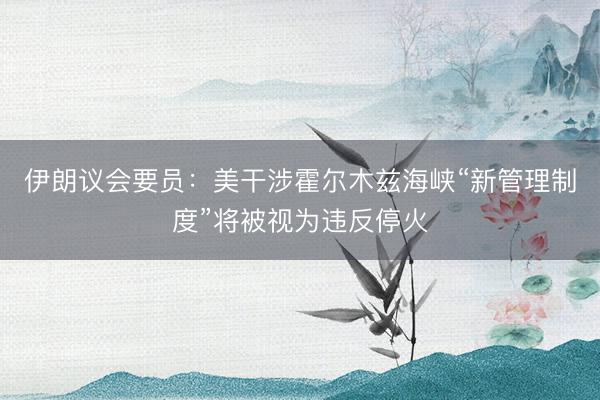 伊朗议会要员：美干涉霍尔木兹海峡“新管理制度”将被视为违反停火