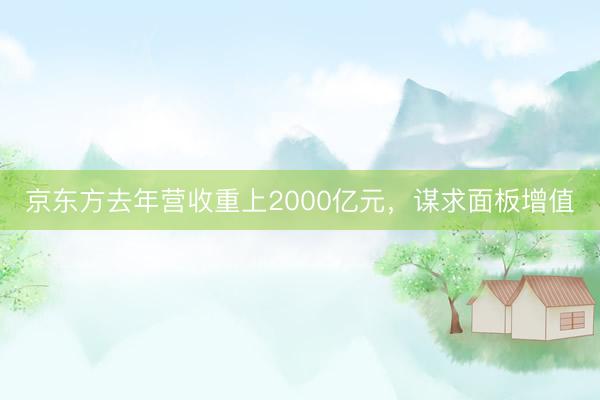 京东方去年营收重上2000亿元，谋求面板增值