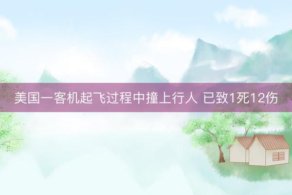 美国一客机起飞过程中撞上行人 已致1死12伤