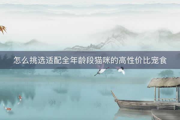 怎么挑选适配全年龄段猫咪的高性价比宠食