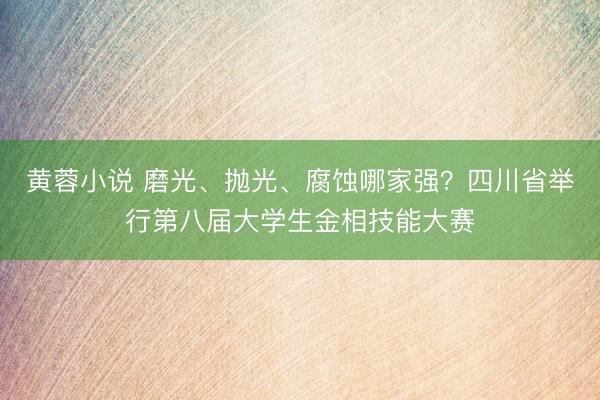 黄蓉小说 磨光、抛光、腐蚀哪家强？四川省举行第八届大学生金相技能大赛