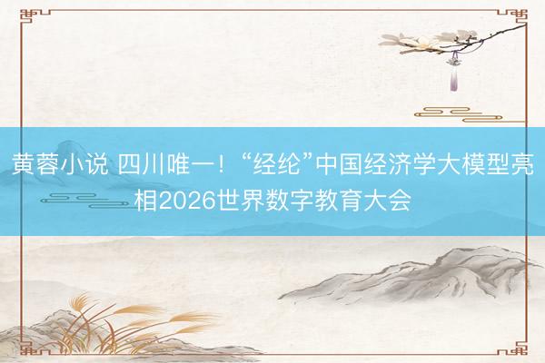 黄蓉小说 四川唯一！“经纶”中国经济学大模型亮相2026世界数字教育大会