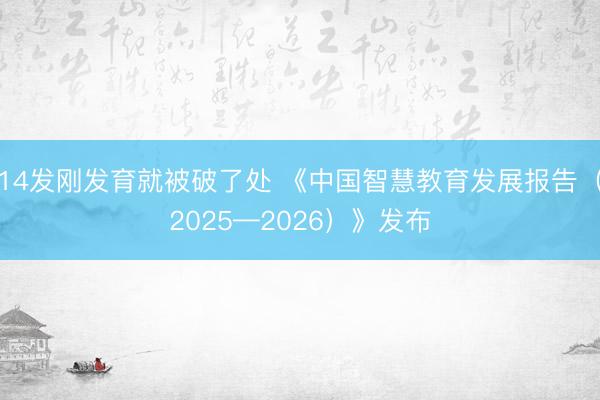 14发刚发育就被破了处 《中国智慧教育发展报告(2025—2026)》发布