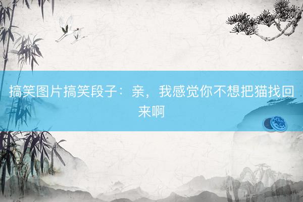 搞笑图片搞笑段子：亲，我感觉你不想把猫找回来啊