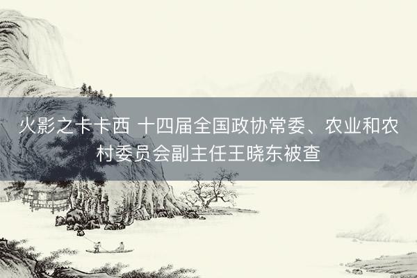火影之卡卡西 十四届全国政协常委、农业和农村委员会副主任王晓东被查