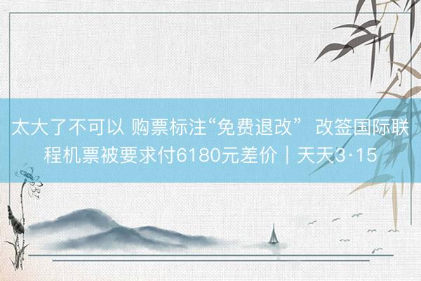 太大了不可以 购票标注“免费退改”  改签国际联程机票被要求付6180元差价｜天天3·15