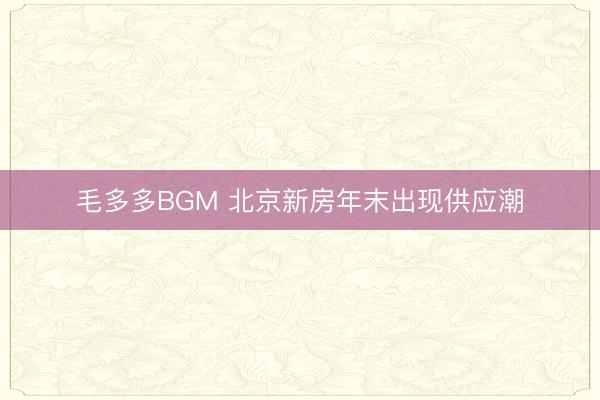 毛多多BGM 北京新房年末出现供应潮