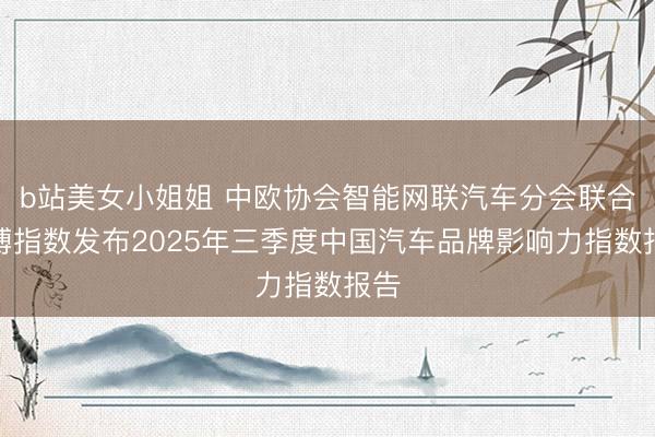 b站美女小姐姐 中欧协会智能网联汽车分会联合清博指数发布2025年三季度中国汽车品牌影响力指数报告