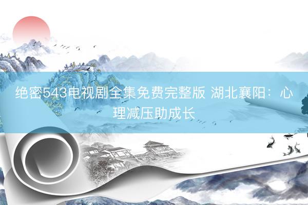 绝密543电视剧全集免费完整版 湖北襄阳：心理减压助成长