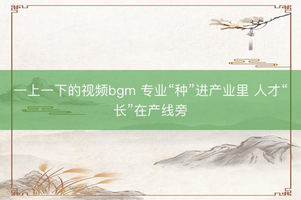 一上一下的视频bgm 专业“种”进产业里 人才“长”在产线旁