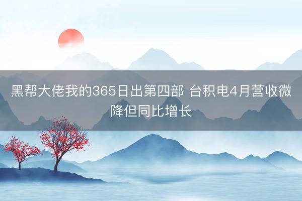 黑帮大佬我的365日出第四部 台积电4月营收微降但同比增长
