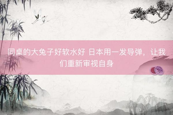 同桌的大兔子好软水好 日本用一发导弹，让我们重新审视自身