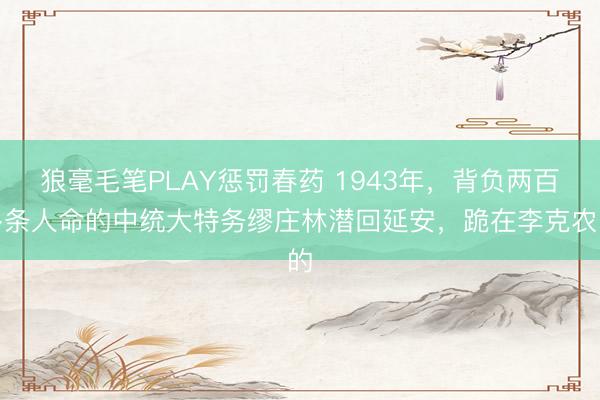 狼毫毛笔PLAY惩罚春药 1943年，背负两百多条人命的中统大特务缪庄林潜回延安，跪在李克农的
