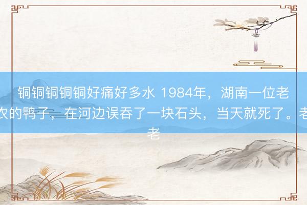 铜铜铜铜铜好痛好多水 1984年，湖南一位老农的鸭子，在河边误吞了一块石头，当天就死了。老