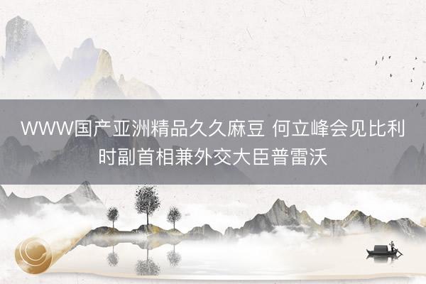 WWW国产亚洲精品久久麻豆 何立峰会见比利时副首相兼外交大臣普雷沃