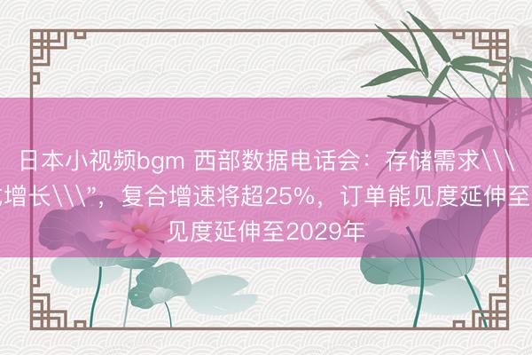 日本小视频bgm 西部数据电话会：存储需求\