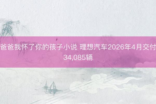 爸爸我怀了你的孩子小说 理想汽车2026年4月交付34，085辆