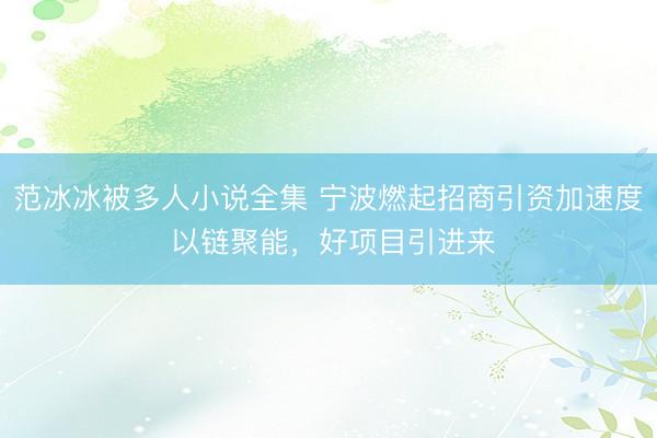 范冰冰被多人小说全集 宁波燃起招商引资加速度 以链聚能,好项目引进来