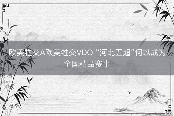 欧美牲交A欧美牲交VDO “河北五超”何以成为全国精品赛事