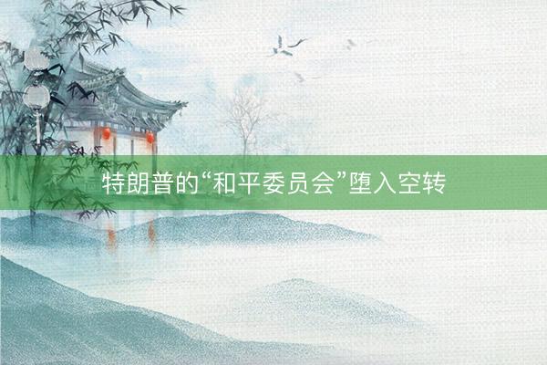 特朗普的“和平委员会”堕入空转