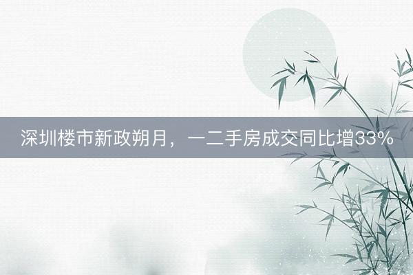 深圳楼市新政朔月，一二手房成交同比增33%
