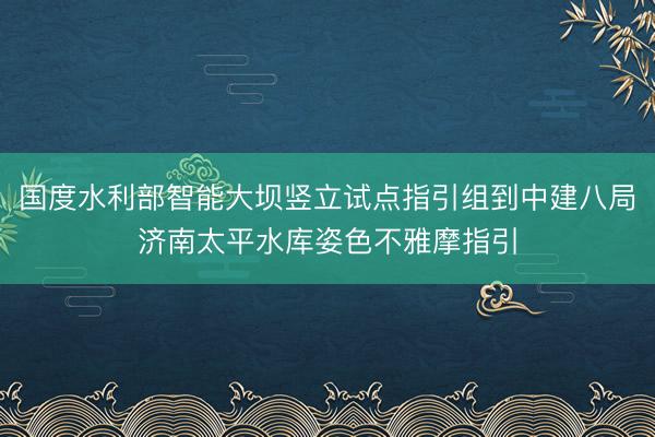 国度水利部智能大坝竖立试点指引组到中建八局济南太平水库姿色不雅摩指引