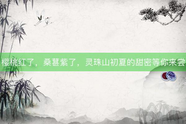 樱桃红了，桑葚紫了，灵珠山初夏的甜密等你来尝