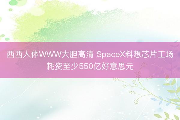 西西人体WWW大胆高清 SpaceX料想芯片工场耗资至少550亿好意思元