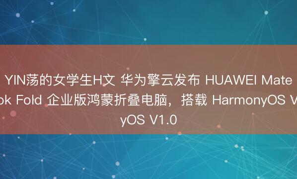 YIN荡的女学生H文 华为擎云发布 HUAWEI MateBook Fold 企业版鸿蒙折叠电脑，搭载 HarmonyOS V1.0