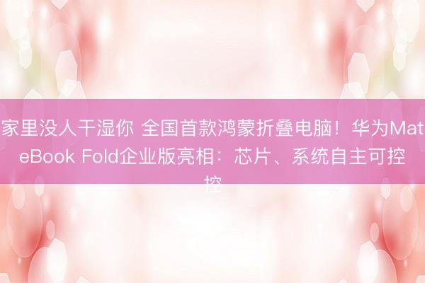 家里没人干湿你 全国首款鸿蒙折叠电脑！华为MateBook Fold企业版亮相：芯片、系统自主可控