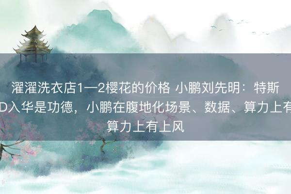 濯濯洗衣店1—2樱花的价格 小鹏刘先明：特斯拉FSD入华是功德，小鹏在腹地化场景、数据、算力上有上风