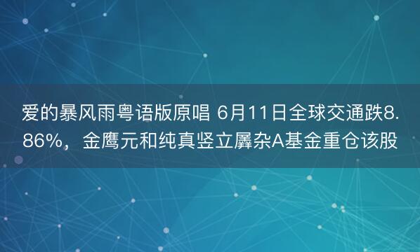 爱的暴风雨粤语版原唱 6月11日全球交通跌8.86%，金鹰元和纯真竖立羼杂A基金重仓该股