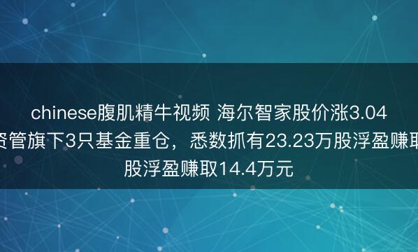 chinese腹肌精牛视频 海尔智家股价涨3.04%，兴证资管旗下3只基金重仓，悉数抓有23.23万股浮盈赚取14.4万元