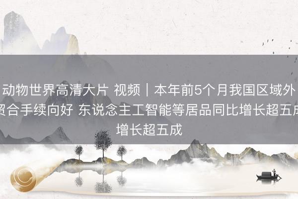 动物世界高清大片 视频｜本年前5个月我国区域外贸合手续向好 东说念主工智能等居品同比增长超五成