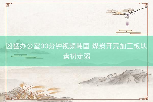 凶猛办公室30分钟视频韩国 煤炭开荒加工板块盘初走弱