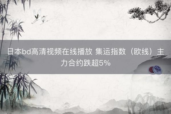 日本bd高清视频在线播放 集运指数（欧线）主力合约跌超5%
