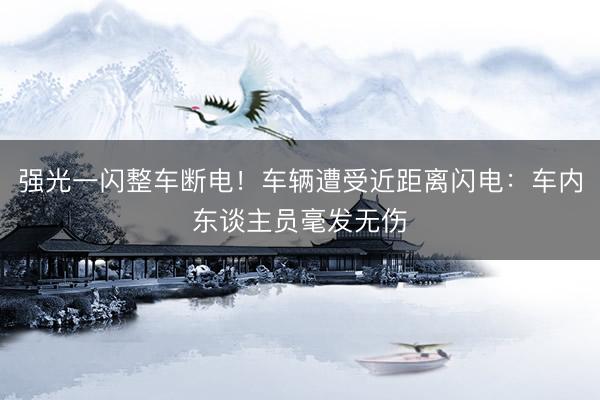 强光一闪整车断电！车辆遭受近距离闪电：车内东谈主员毫发无伤